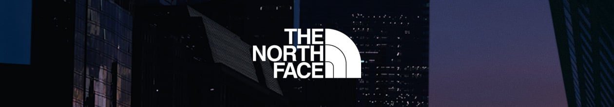 Shop the north face header