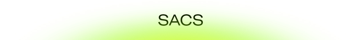 Bannière sacs