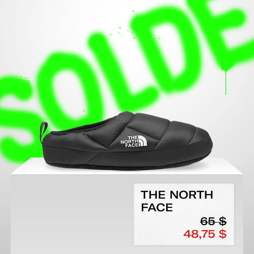 little burgundy shoes the north face promotion