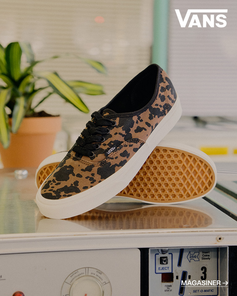 SHOP VANS