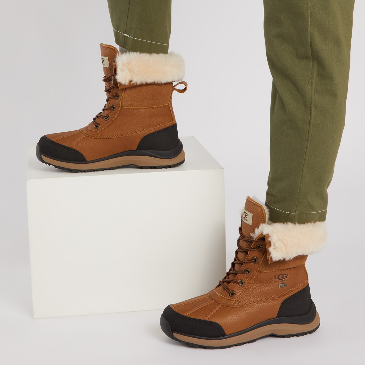 Women's Adirondack III Boots in Beige 