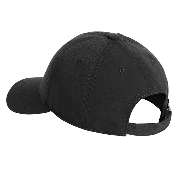Alternate view:ALT1