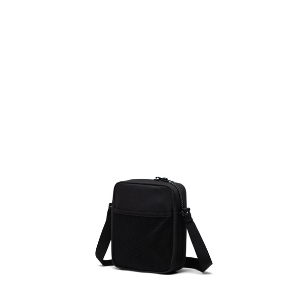 Alternate view:ALT1