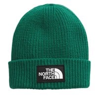 Logo Box Beanie in Green