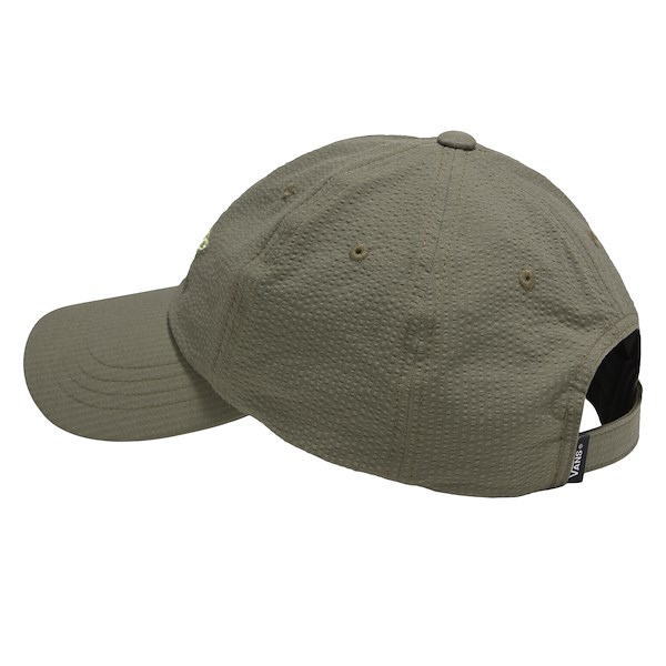 Alternate view:ALT1