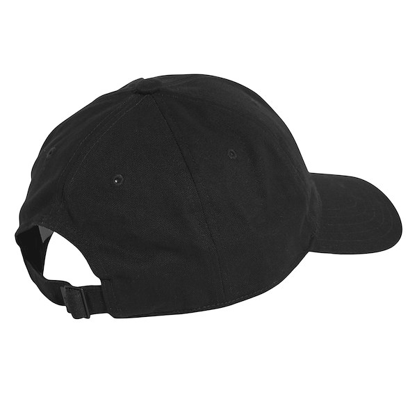 Alternate view:ALT1