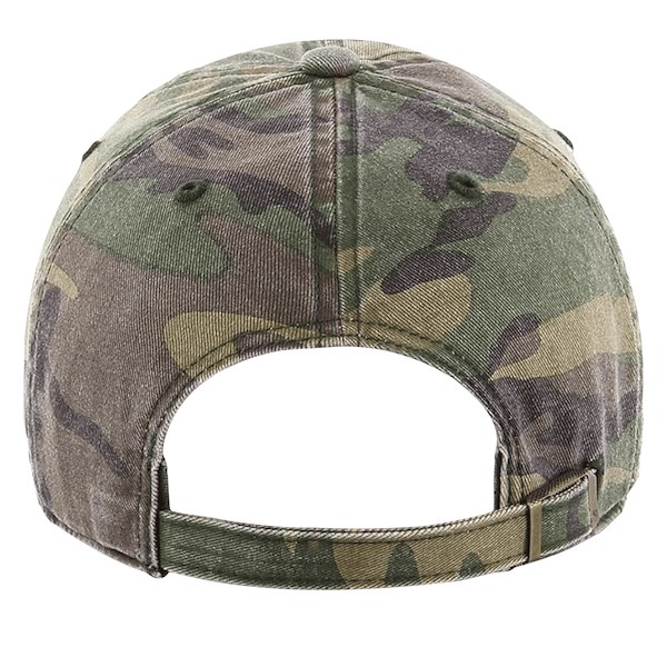 Alternate view:ALT1