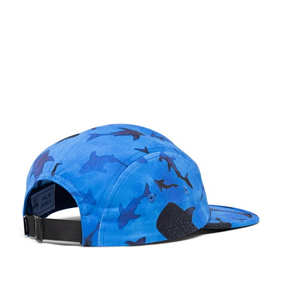 Kid's Glendale Shark Cap in Blue Alternate View