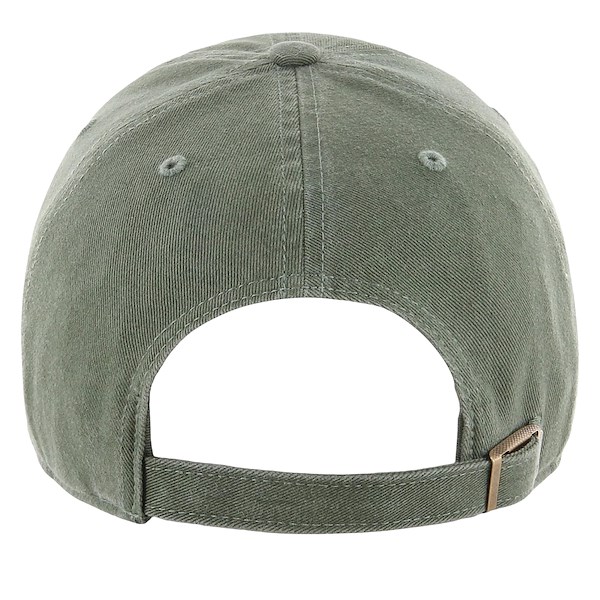 Alternate view:ALT1
