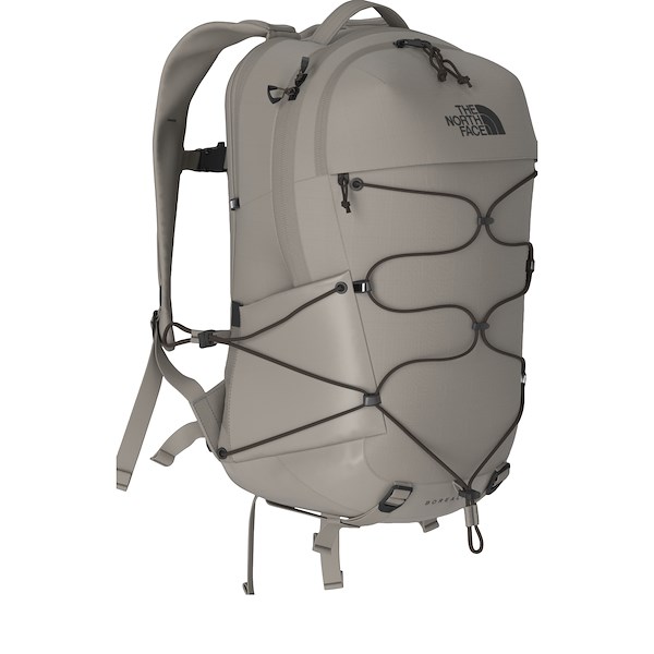 Alternate view:ALT1