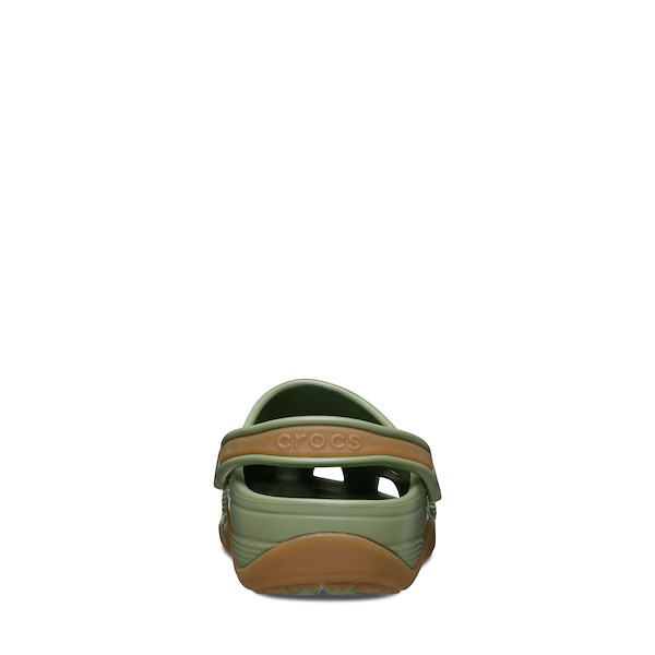 Alternate view:ALT4