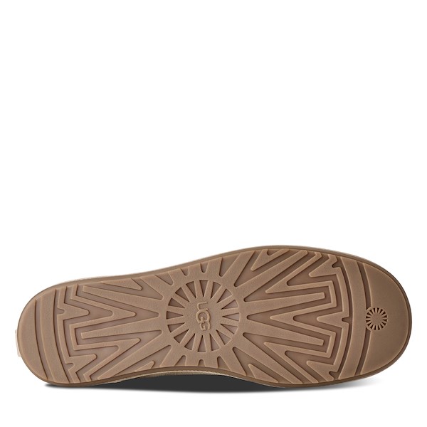Alternate view:ALT5