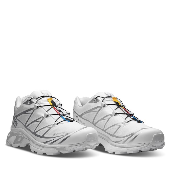 Alternate view:ALT1