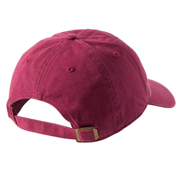 Alternate view:ALT1