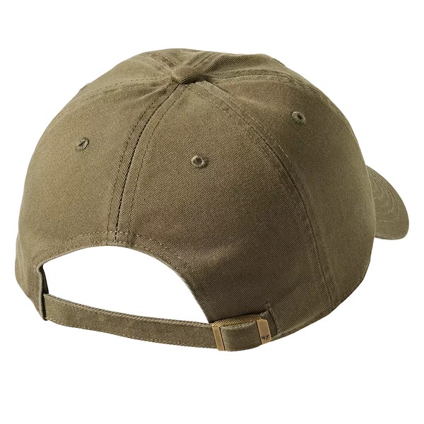 Alternate view:ALT1